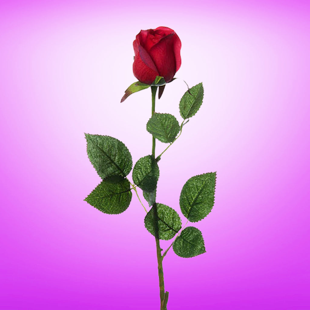 60cm Silk Red Rose