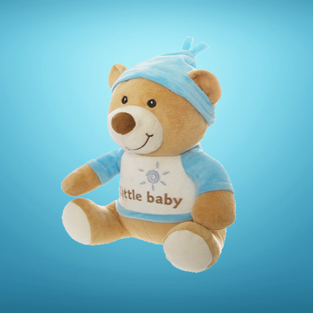 Benny Baby Boy Teddy 22cm