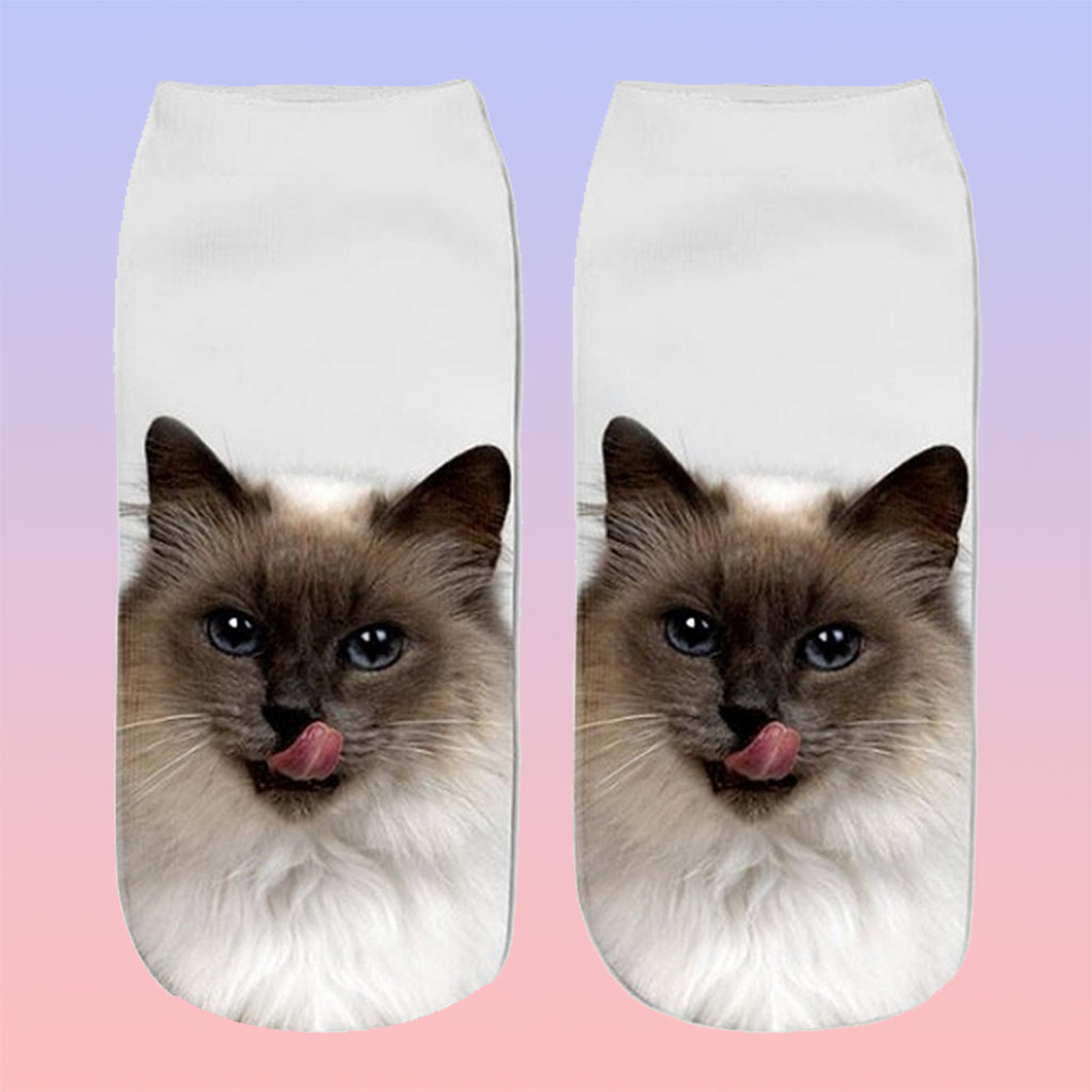 Cat Socks - Hungry Pussy
