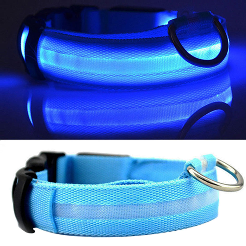 Light Up Collar Blue