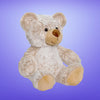 Oscar the Teddy Bear 26cm