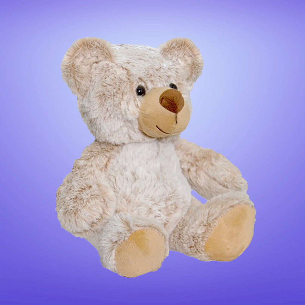 Oscar the Teddy Bear 26cm