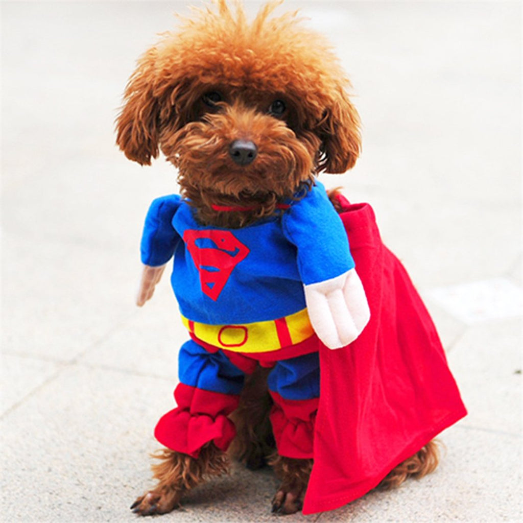 Super Dooper Superdog Suit