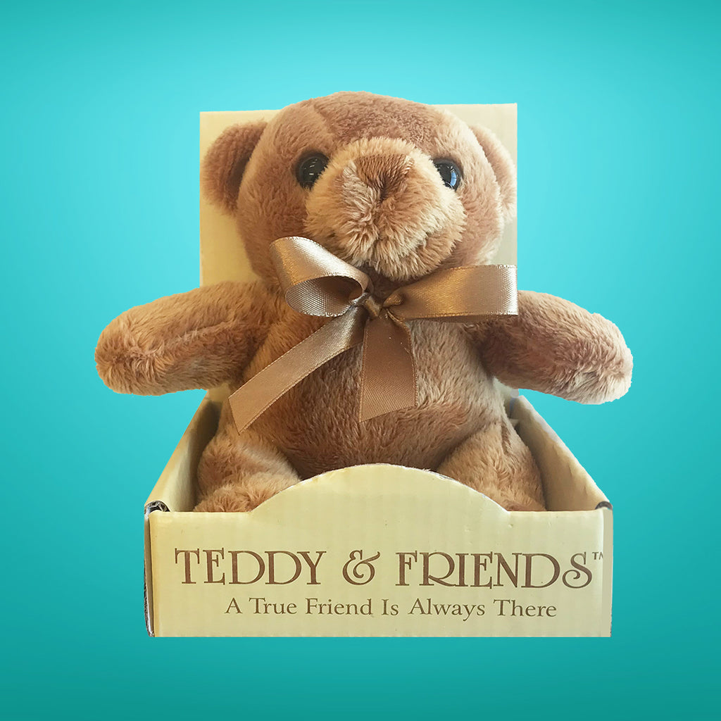 True Friend Teddy in a Box