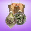 Christmas Tree Decoration